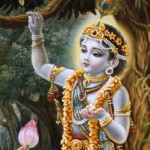 Krishna’s Humor